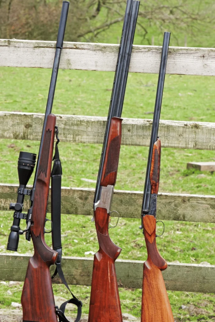 State gun possession restrictions