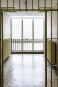 Types of criminal records